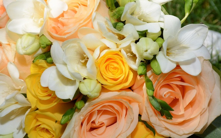 عکس دسته گل عروس