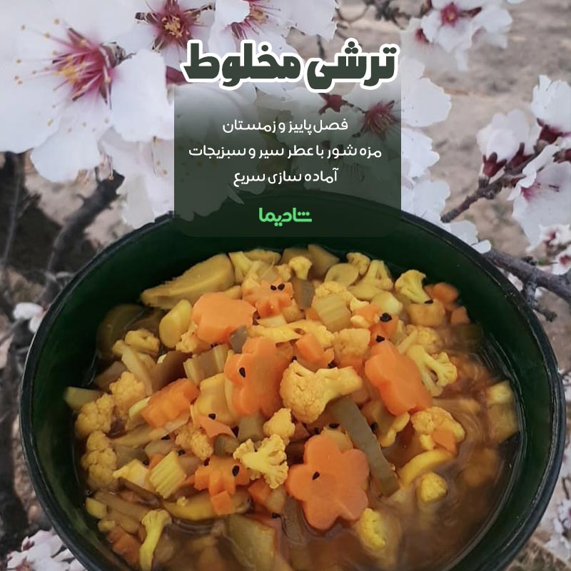 خوشمزه ترین ترشی های دنیا مخلوط - خوشمزه ترین ترشی های دنیا