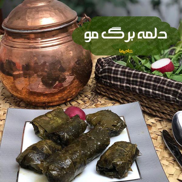 بهترین غذاهای کردی