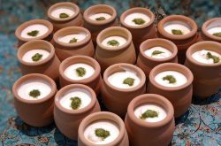 طرز تهیه ماست