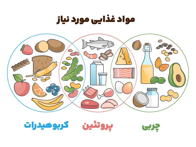 مواد غذایی مورد نیاز بدن قبل تمرین