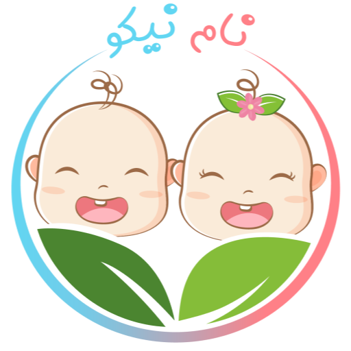 نام نیکو