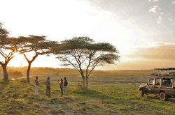 هزینه سفر به کنیا از ایران + نکات طلایی