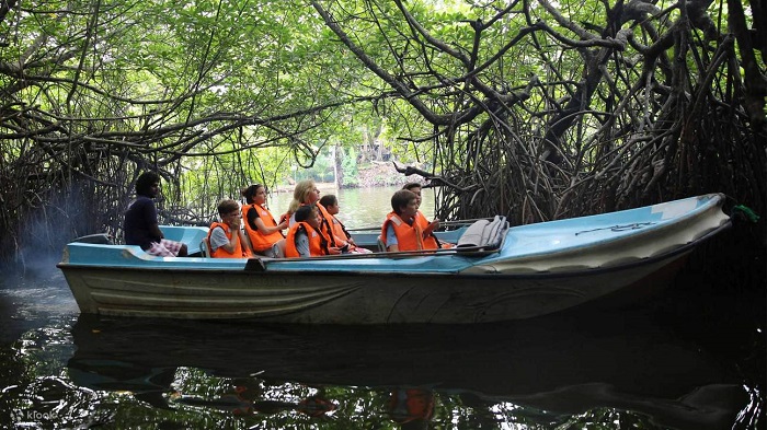 سفر به مادو گانگا؛ لذت از طبیعت و آرامش در قلب سریلانکا
